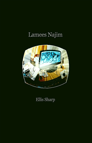 Lamees Najim: a novel of the information age
